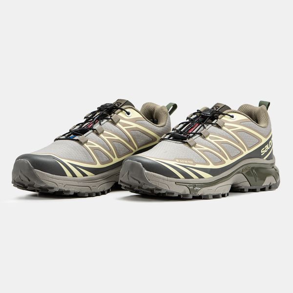 Salomon XT-6 Gore-Tex Brown Gore-Tex ALL14732-36 фото