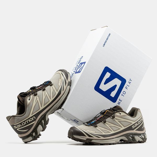 Salomon XT-6 Lab Brown Beige ALL20094-38 фото